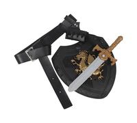 CIMAXIC 1 Set di spada da cavaliere medievale con fodero, cintura e scudo - Accessori per cosplay da pirata - Costume da guerriero romano rinascimentale per giochi di ruolo