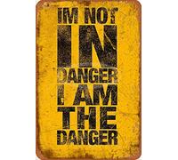 Cimily Breaking Bad i am The Danger Targhe in Metallo Vintage Targhe in Metallo Poster in Metallo retrò Targa in Metallo Decorazione da Parete 8 × 12 Pollici