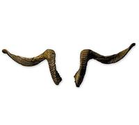 Cina Ariete corna circa 69 cm - Corna artificiale realistica fatta a mano, robusta e leggera, ideale per crampi, perché, feste, eventi a tema e decorazioni di maschere Motes. (Cina Ariete 2)