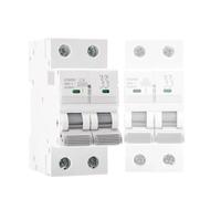 Cina Interruttore automatico GYM9H 10KA MCB 2P 6A 10A 16A 20A 25A 32A 40A 50A 63A Curva C 220 V Produttori(32A)