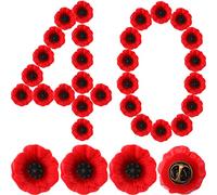 Cindeer Spilla a forma di papavero per il giorno della commemorazione da 2,5 cm, in resina, con scritta "Lest We Forget Veteran Day", piccola spilla commemorativa con fiore all'occhiello per donne e