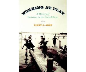 Cindy S. Aron Working at Play (Tascabile)