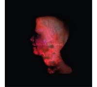 Cindy Wilson Change (CD) Album