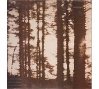 Cindytalk - The Wind Is Strong...