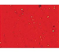 Cinelli Gel Nastro Manubrio Nastro Rosso