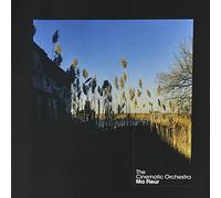 Cinematic Orchestra - Ma Fleur