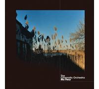 Cinematic Orchestra - Ma Fleur