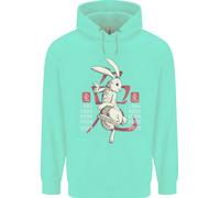 Cinese Zodiac Shengxiao Anno Del Coniglio Uomo