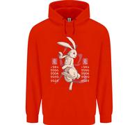 Cinese Zodiac Shengxiao Anno Del Coniglio Uomo