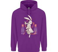 Cinese Zodiac Shengxiao Anno Del Coniglio Uomo