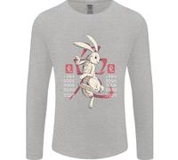 Cinese Zodiac Shengxiao Anno Del Coniglio Uomo Manica