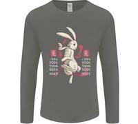 Cinese Zodiac Shengxiao Anno Del Coniglio Uomo Manica