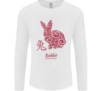 Cinese Zodiac Shengxiao Anno Del Coniglio Uomo Maniche