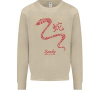 Cinese Zodiac Shengxiao Anno Del Serpente Uomo Felpa Maglioncino