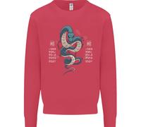 Cinese Zodiac Shengxiao Anno Del Serpente Uomo Felpa Maglione