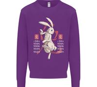 Cinese Zodiacale Shengxiao Anno Del Coniglio Uomo Felpa Maglione