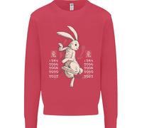 Cinese Zodiacale Shengxiao Anno Del Coniglio Uomo Felpa Maglione