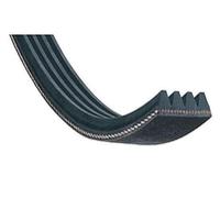 Cinghia 1151 H7 EL HUTCHINSON per lavatrice BRANDT - BLH112UN