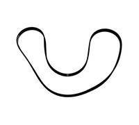 Brandt Cinghia 1161 J5 per lava biancheria 855tva