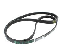 Cinghia 1161j5 = 5pje1161, 55x2987 481281718163 - lavatrice