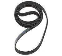 Cinghia 1225J5 Lavatrice 41039460, 268537 CANDY