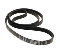 Cinghia 1228j5, 55x3417, 38x6169 52x3949 - lavatrice