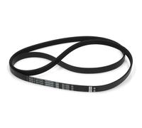 CINGHIA 1255 J5 EL OPTIBELT BOSCH LAVATRICE SIEMENS BOSCH 00439490 00360829