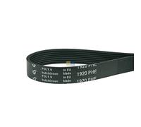 Cinghia 1920 Ph 8 Mael Trockner per Indesit Ariston C00770302 Siltal 13086