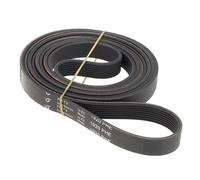 Cinghia 1920h8 481281718177 c00269097 - asciugatrice