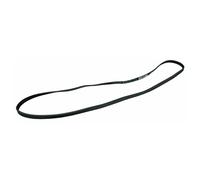 Cinghia A V 1236PJ4E Whirlpool 481235818206 Per Lavatrice