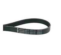 Cinghia A V 1915PJ5 Compatibile Con Miele 5017140 Per Asciugatrice