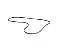 Cinghia A V 1930PJ4 Compatibile Con AEG 50097734003 Per Asciugatrice
