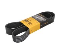 Cinghia a V CONTINENTAL 10PK1300