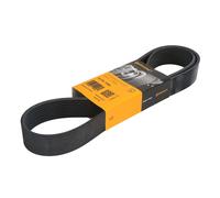 ContiTech Cinghia servizi 10PK1350 Poly-V