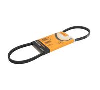 Cinghia Poly-V - CONTINENTAL CTAM 3PK775