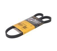 CONTITECH 4PK1022 ELAST Cinghia servizi Cinghia Poly-V Cinghia alternatore Cinghia dei servizi