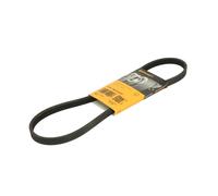 Cinghia trapezoidale multirighe 4PK860 ELAST CONTINENTAL CTAM per BMW 3 X5 X3 5