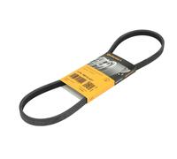 ContiTech Cinghia Poly-V 4PK885 ELAST per BMW