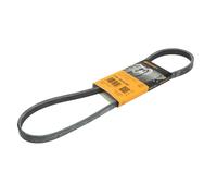 Contitech Cinghia Poly-V 4Pk924Elast