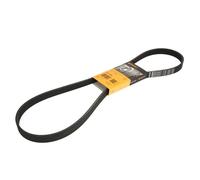 Cinghia a V CONTITECH 6PK1264