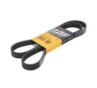 CONTITECH 6PK1441 EXTRA Cinghia servizi