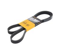 ContiTech Cinghia trapezoidale multirighe 6PK1680 CONTINENTAL CTAM per Skoda, Citroën