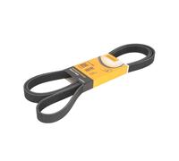 CONTITECH 6PK2460 Cinghia Poly-V
