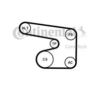 Cinghia A V Denti Continental Ctam 6PK1900K1 Per Opel Astra F CC Daewoo