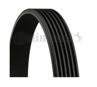 Cinghia A V Denti Continental Ctam 6PK2125 Per Mercedes-Benz Hyundai KIA