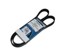 Cinghia A V Denti Dayco 2,0 Diesel Ford Focus - C-Max - Kuga 1683960 Dayco