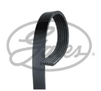 Cinghia A V Grooved Original GATES 6PK2413 Per Audi Cadillac Chevrolet Hyundai