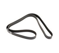 Cinghia a V nervata 6000616598