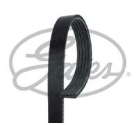 Cinghia A V Piatta GATES 5PK1810 Per Hyundai KIA