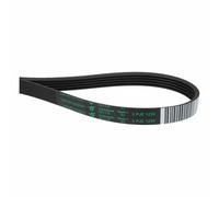 Cinghia A Vite 1239PJ5E Compatibile Con Whirlpool 481235818215 Lavatrice